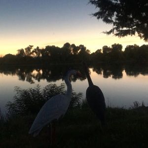 Meet your Posher, <christopher